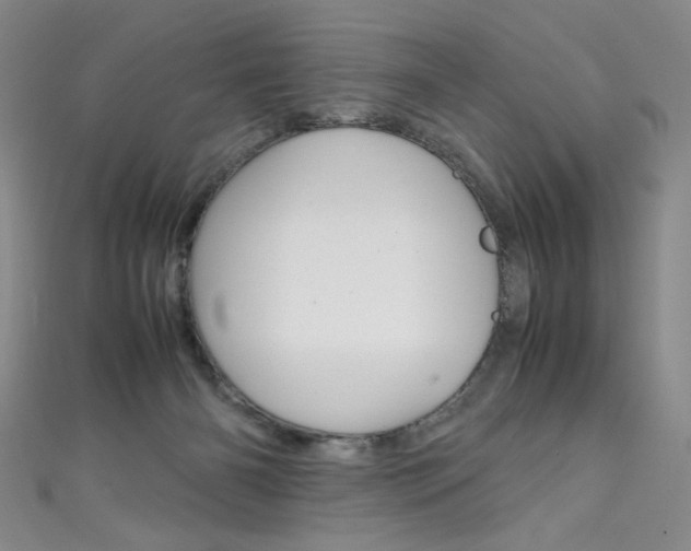 X0000111660126200907171128