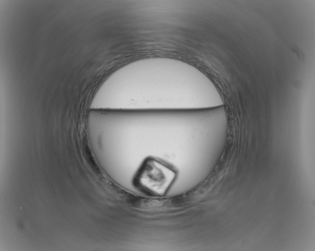 X0000111660129200907171128