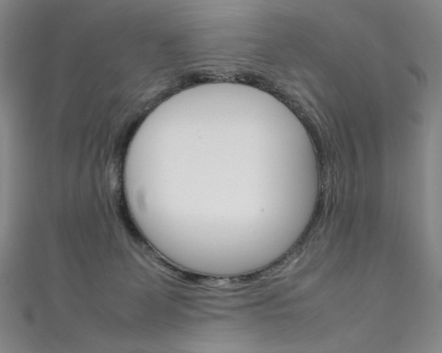 X0000111660131200907171128