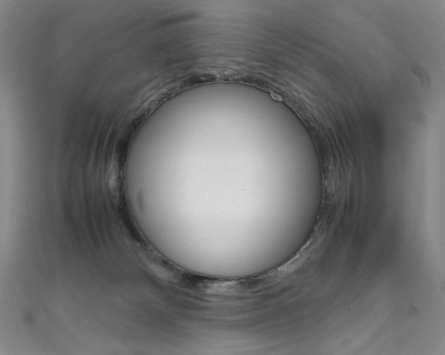 X0000111660132200907171127