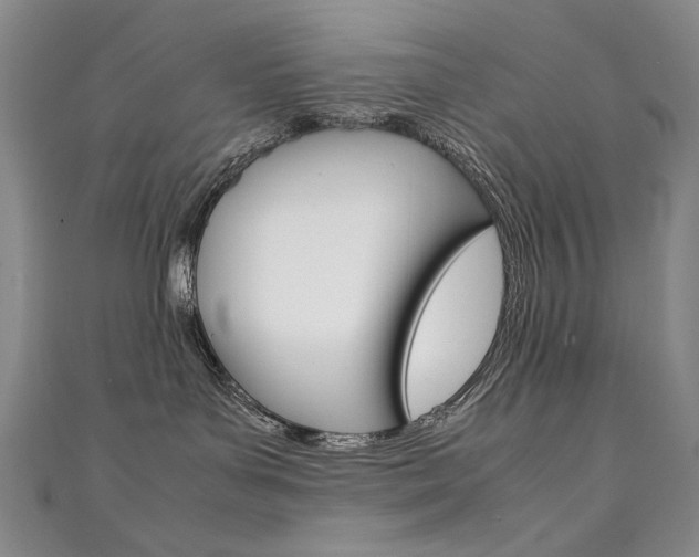 X0000111660143200907171127