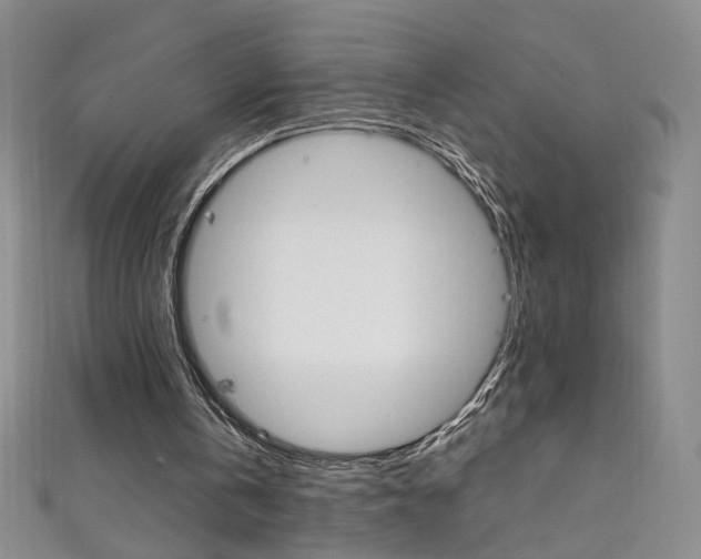 X0000111660146200907171126