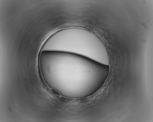 X0000111660148200907171126