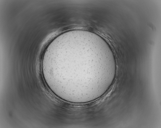 X0000111660149200907171126
