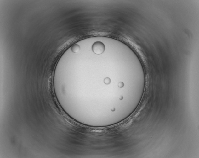 X0000111660153200907171127