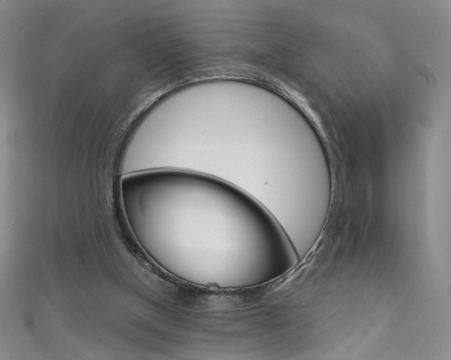 X0000111660154200907171127
