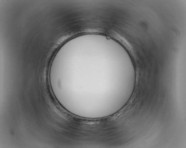 X0000111660155200907171127