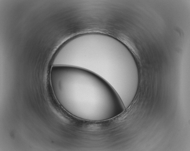 X0000111660156200907171127