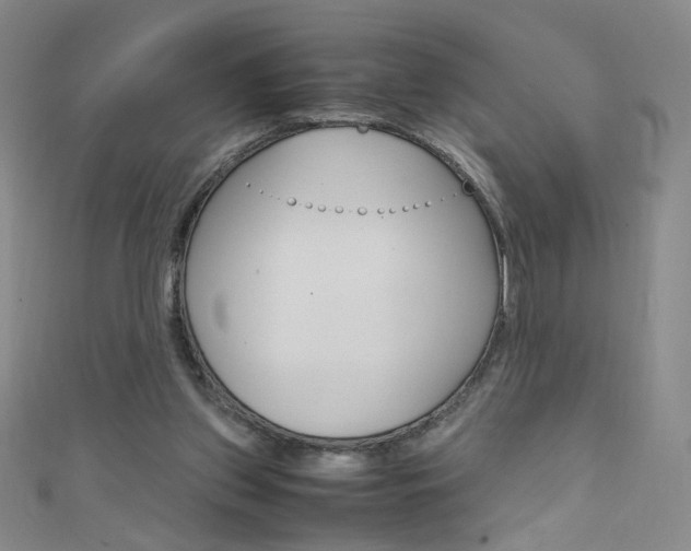 X0000111660157200907171127