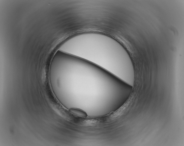 X0000111660158200907171127