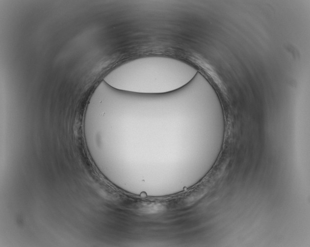 X0000111660161200907171127