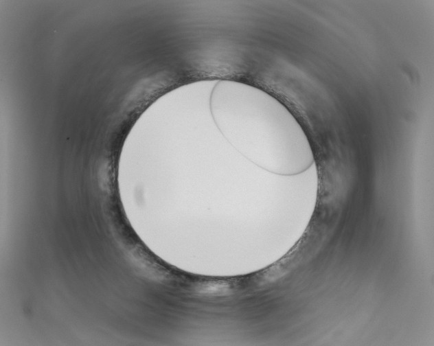 X0000111660162200907171127