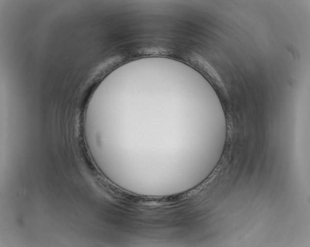 X0000111660163200907171127