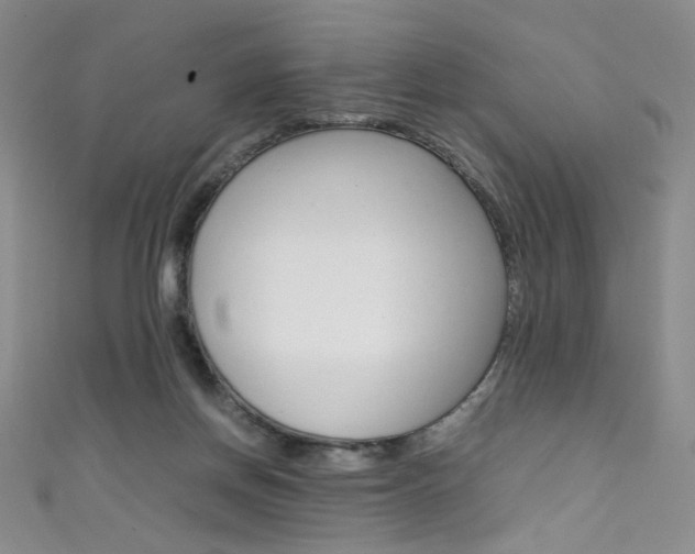 X0000111660166200907171127