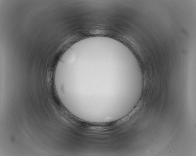 X0000111660171200907171127