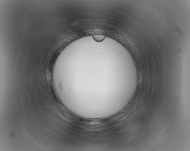 X0000111660173200907171127