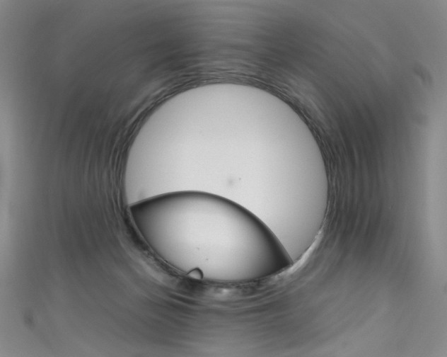 X0000111660174200907171127