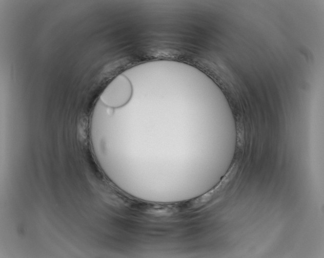X0000111660175200907171127