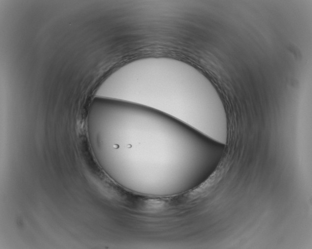 X0000111660176200907171127