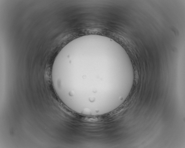 X0000111660181200907171127