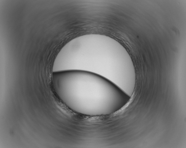 X0000111660186200907171127