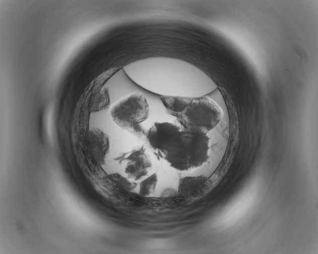 X0000111660189200907171127