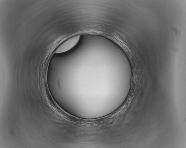 X0000111660193200907171126