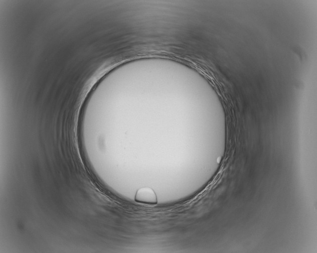X0000111660195200907171126