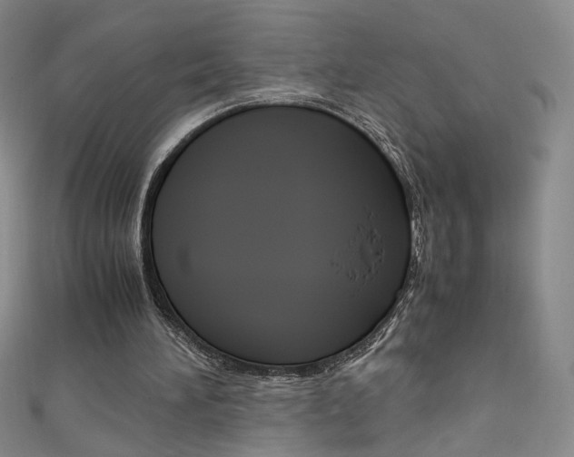 X0000111660196200907171126