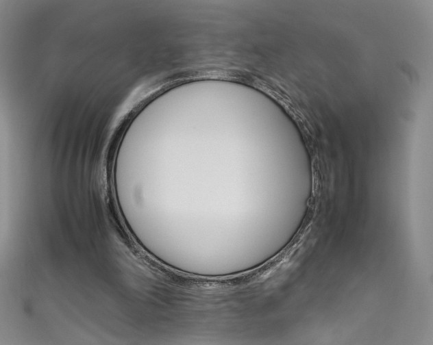 X0000111660198200907171126