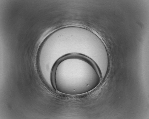 X0000111660199200907171126