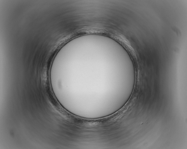 X0000111660202200907171126