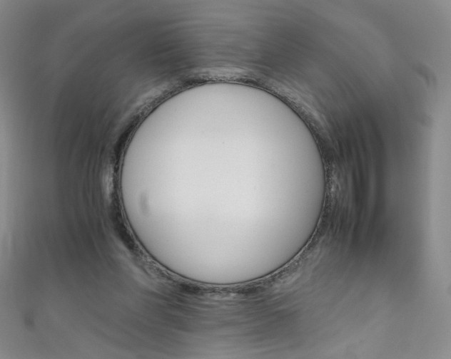 X0000111660206200907171126