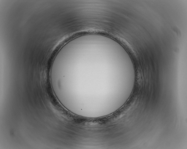 X0000111660208200907171126