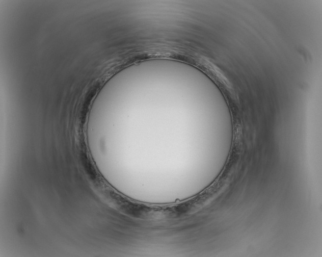 X0000111660209200907171126
