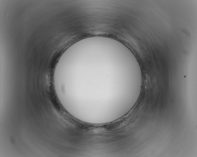 X0000111660210200907171126