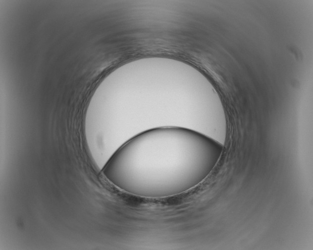 X0000111660211200907171126
