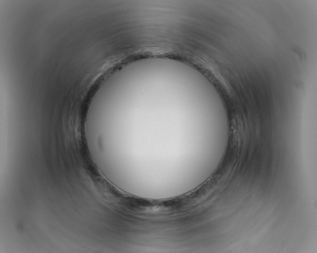 X0000111660212200907171126