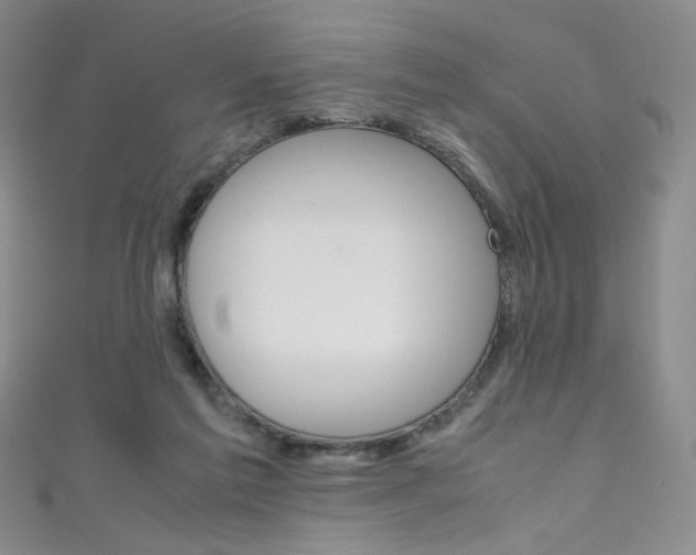 X0000111660213200907171126