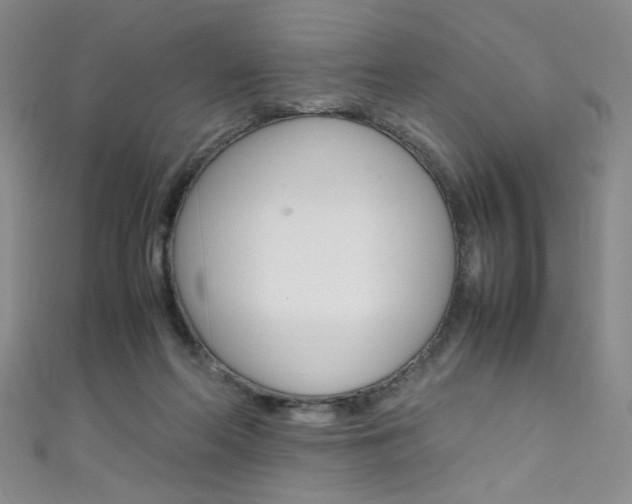 X0000111660214200907171126