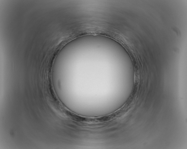 X0000111660215200907171126