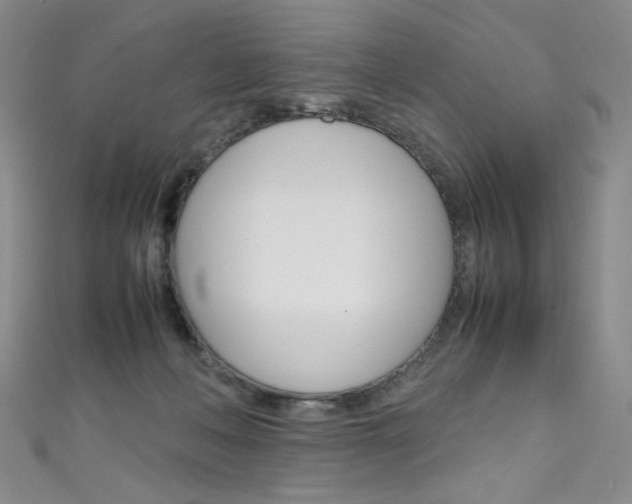 X0000111660222200907171126