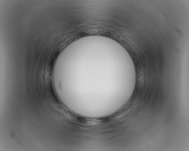 X0000111660226200907171126