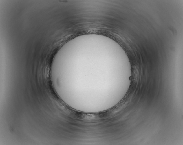 X0000111660230200907171126