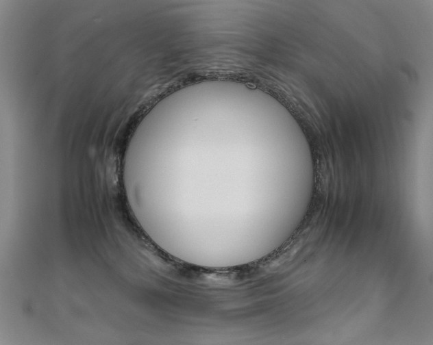 X0000111660232200907171126