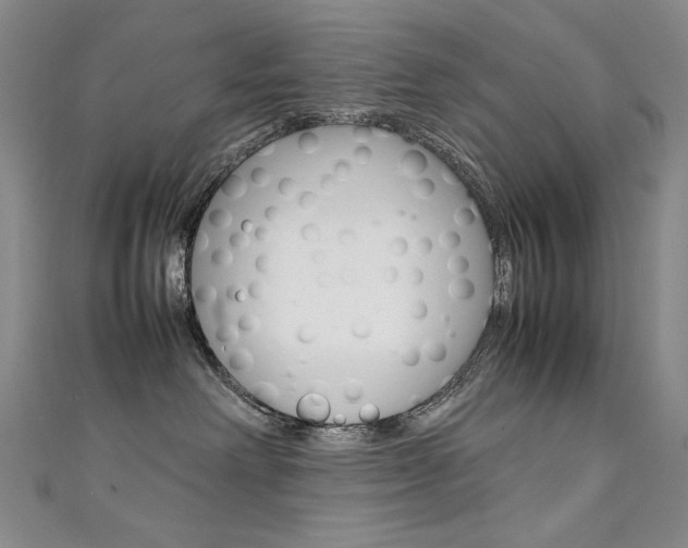 X0000111660238200907171126