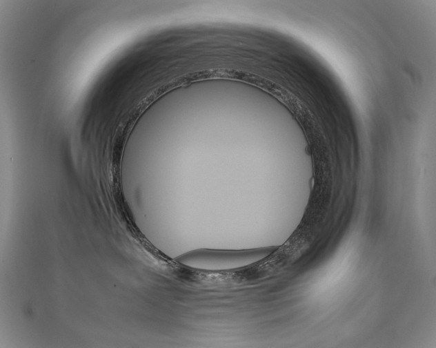 X0000111660239200907171126