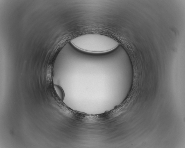 X0000111660240200907171126