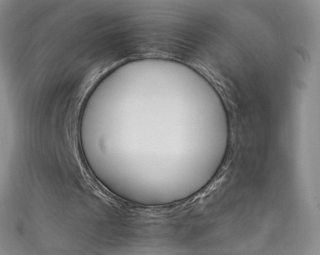 X0000111660241200907171125