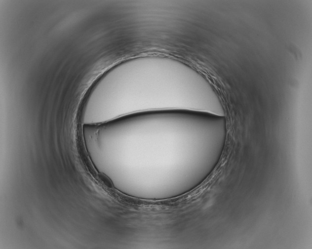 X0000111660242200907171125